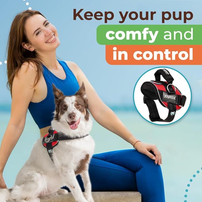 Joyride Harness 2.0 3 Leash