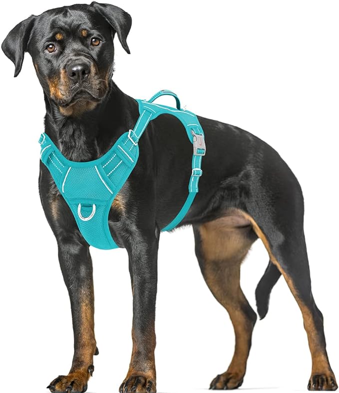BARKBAY No Pull Dog Harness Large Step in Reflective Dog Harness with Front Clip and Easy Control Handle for Walking Training Running with ID tag Pocket(Ocean Blue