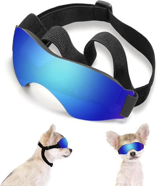 Small Dog Sunglasses
