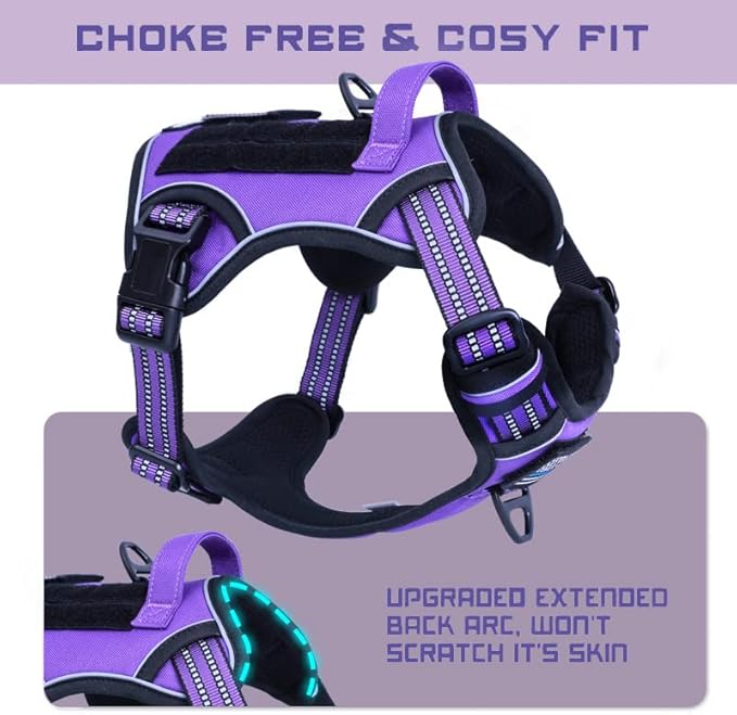 BUMBIN Tactical Dog Harness for Small Dogs No Pull