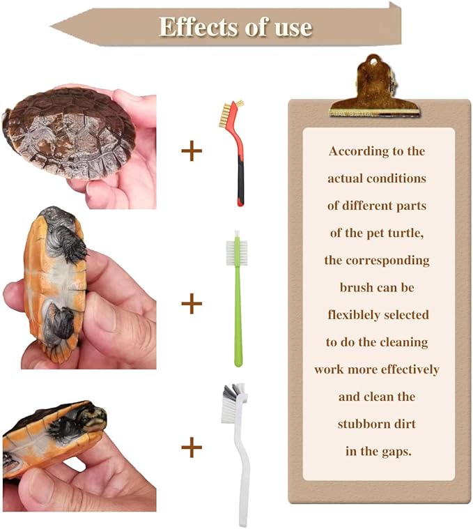 3 Pcs Turtle Cleaning Brush