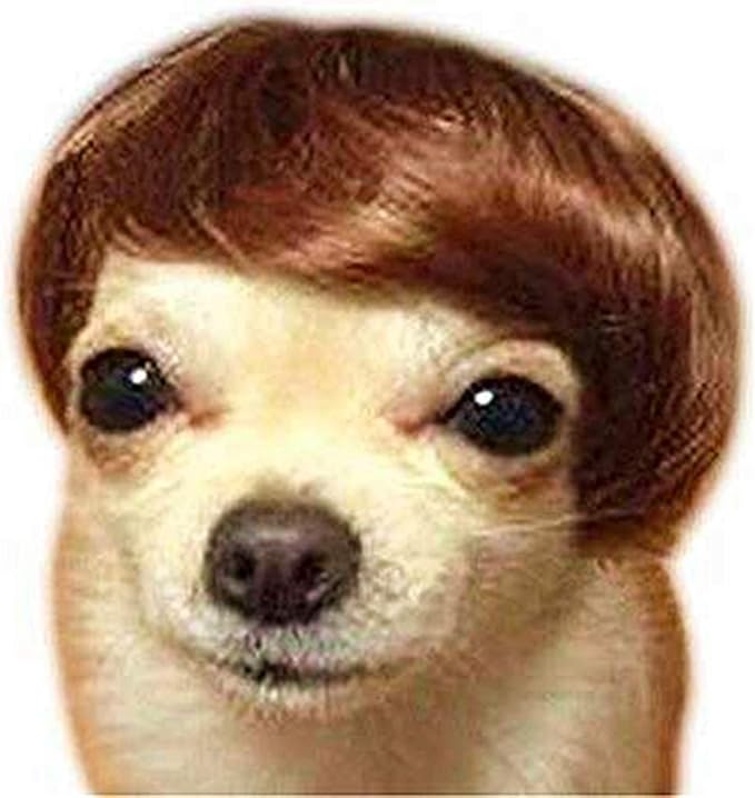 Dog Wig Pet Costumes