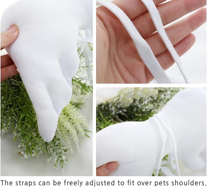 Pet Angel Wings and Headband Costume Accessory Set