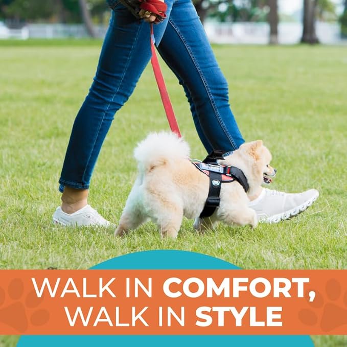 Joyride Harness 2.0 3 Leash