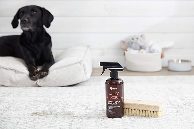 The Spruce Pet Stain & Odor Remover 17 oz, 2 Pack