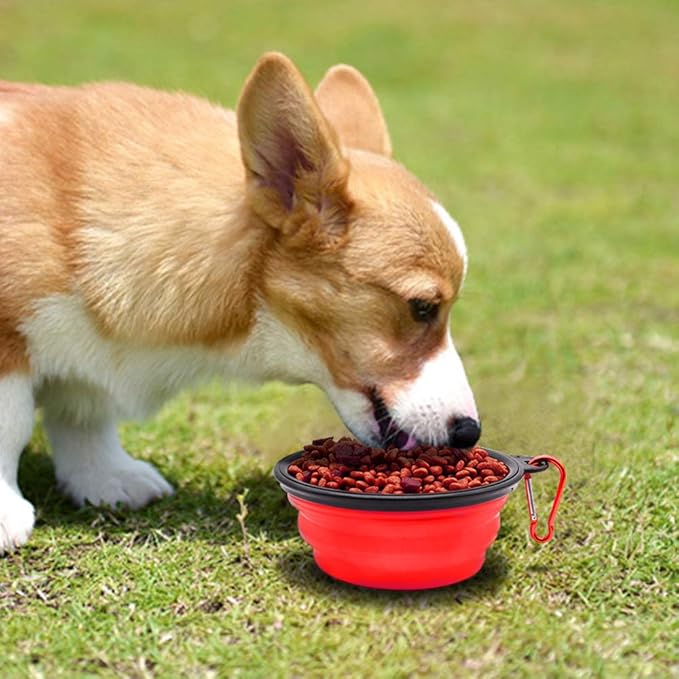 Dog Bowl Pet Collapsible Bowls 2 Pack 2 Carabiners
