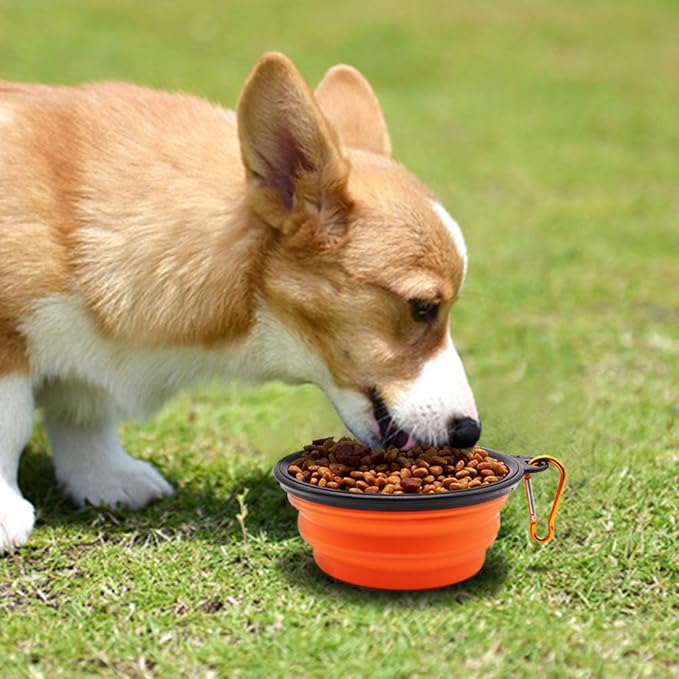 SLSON Collapsible Dog Bowls 2 Pack,