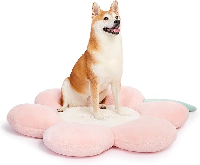 VETRESKA Dog Beds for Medium Small Dogs 33.5Inches Cute