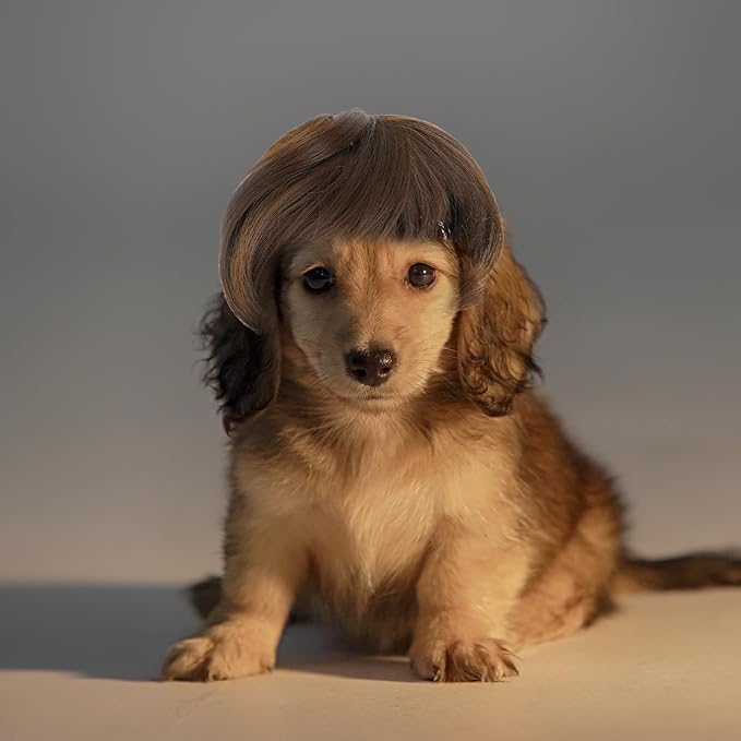Funny Dog Cat Cosplay Wig Pet Wigs