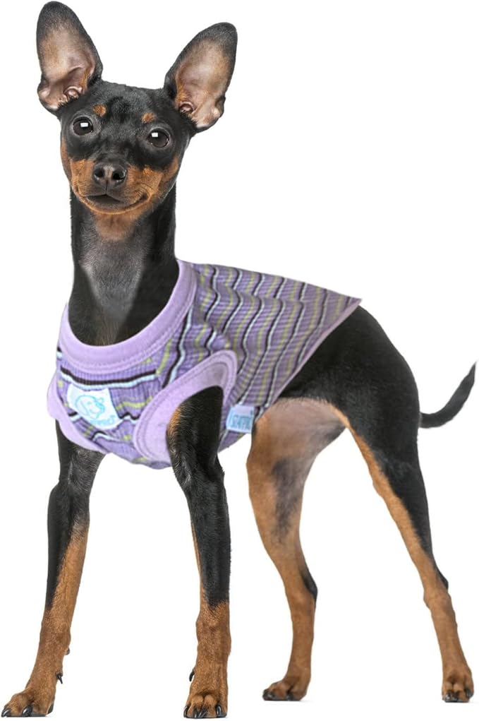 Striped Teacup Pet Dog T-Shirts 100% Cotton 2X-Small