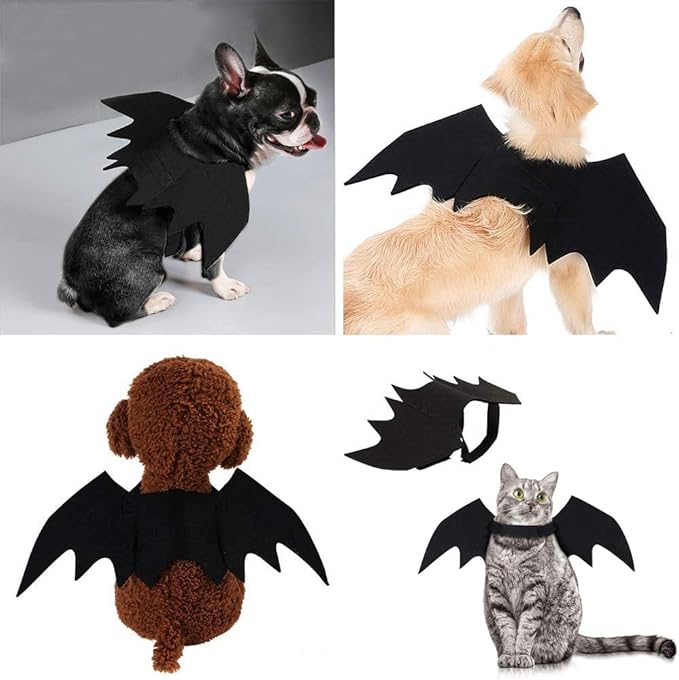 Cat Halloween Costume Bat Wings Pet Apparel Halloween