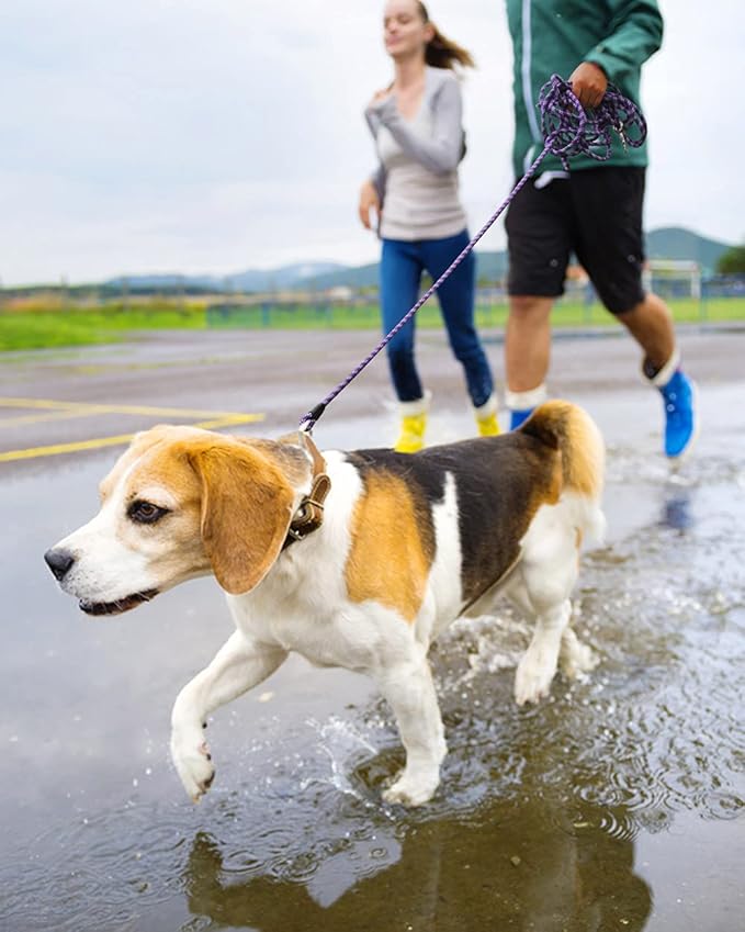 100FT Extra Long Leashes for Dog Training