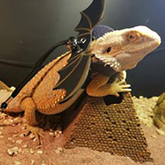 Adjustable Bearded Dragon Leash Harness 3 Size