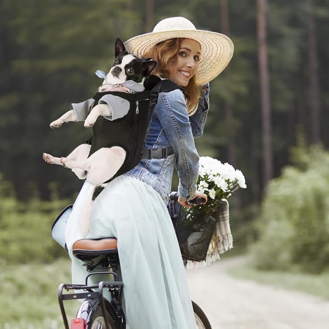 Inspack Dog Cat Backpack Carrier