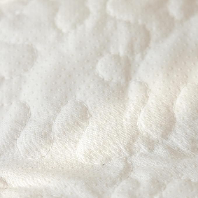 Pet Couch Cover for Sofa (27x70 inch,