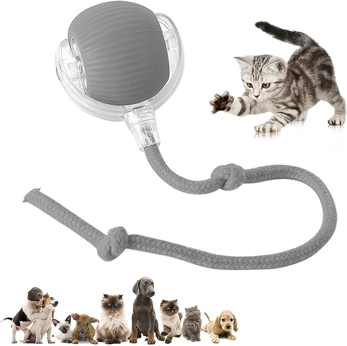 Chewie Viral Rolling Ball Rolling,360° Smart