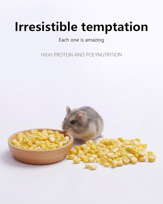 Niteangel Hamster Snack & Treats Toy