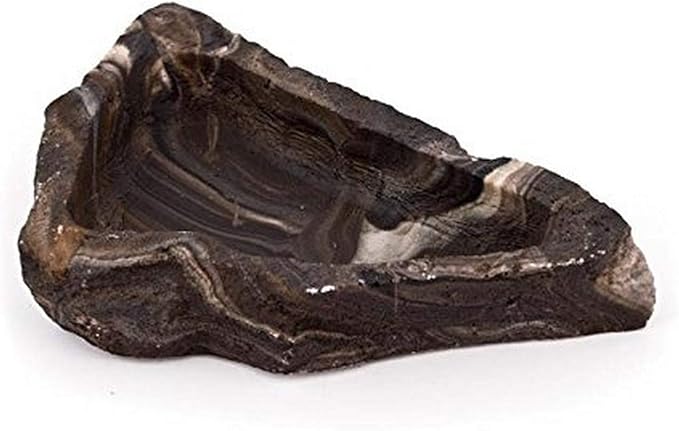 Fluker's Nonporous Food/Water Reptile Corner Bowl