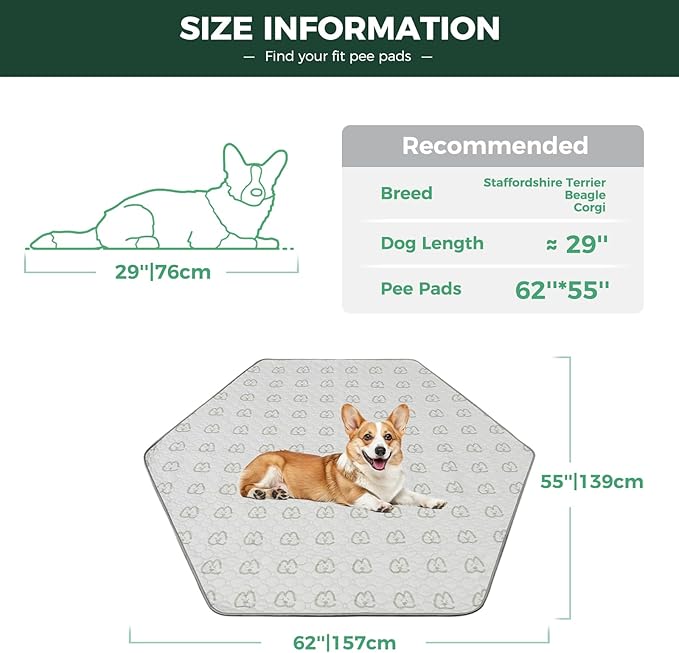 FXW Washable Pee Pads for Dogs 62" x 55", Specifically 24inch 6