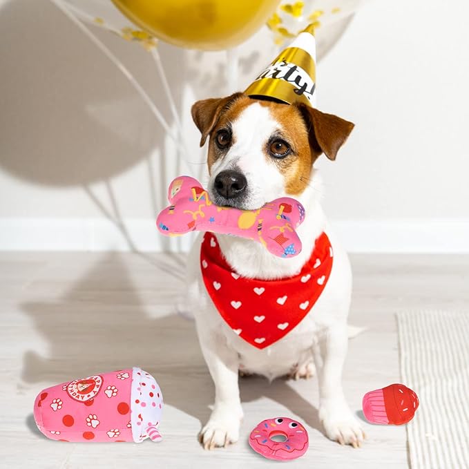 BINGPET Dog Birthday Toys 4 Pcs