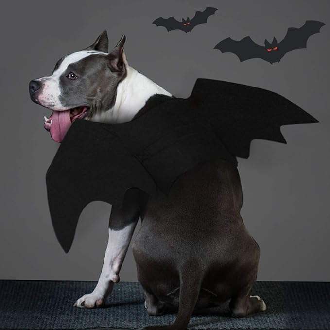 Rypet Dog Bat Costume