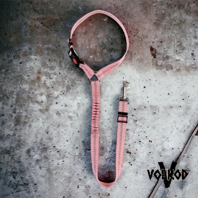 Dog Seat Belt Harness for Car 2 in 1 Pet