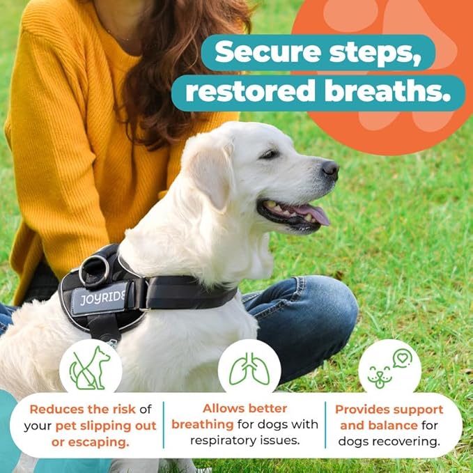 Joyride Harness 2.0 3 Leash