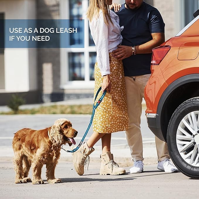 Best Dog Supplies Dog Safety Car Seat Belt