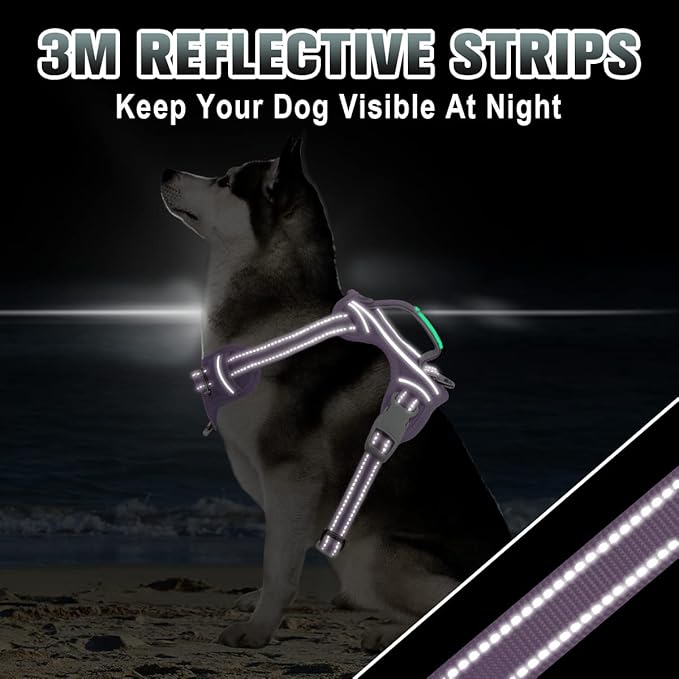 BARKBAY No Pull Dog Harness Large Step in Reflective Dog Harness with Front Clip and Easy Control Handle for Walking Training Running with ID tag Pocket(Violet Purple