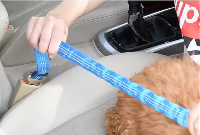 Adjustable Dog Seat Belt
