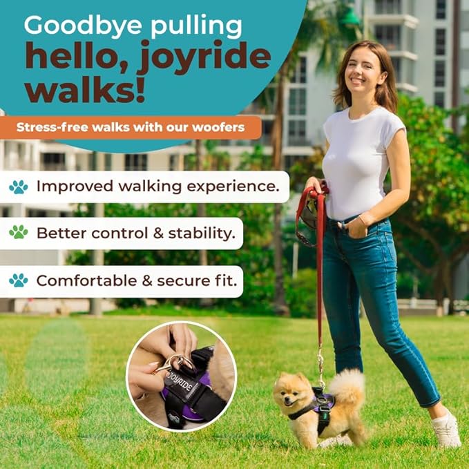 Joyride Harness 2.0 3 Leash