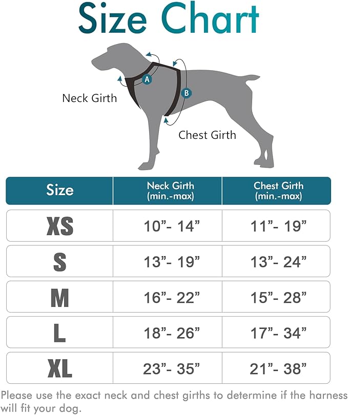 rabbitgoo Dog Harness 2 Leash