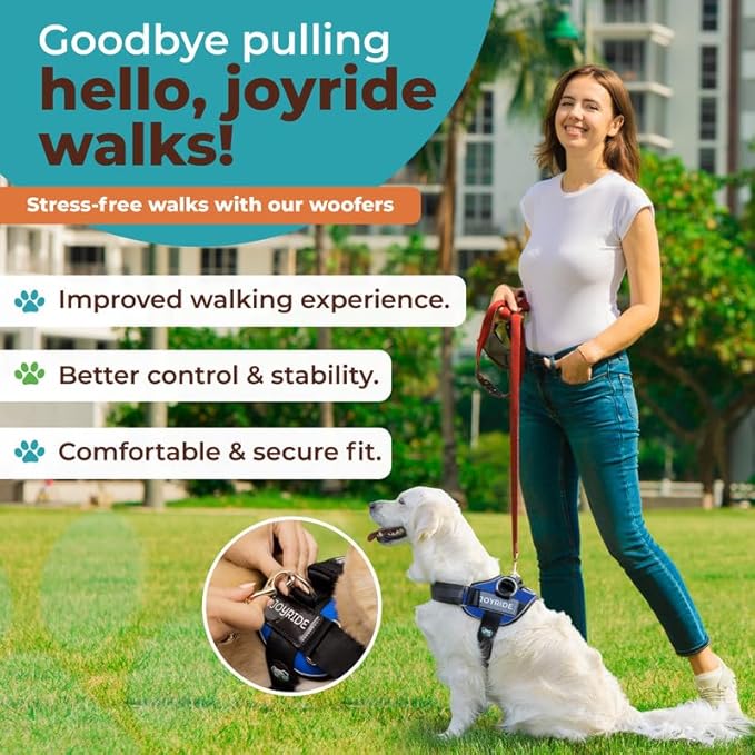 Joyride Harness 2.0 3 Leash