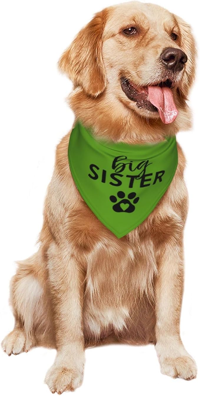 Big Sister Dog Bandana