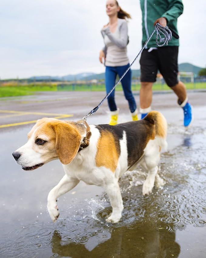 (2 Pack) Long Dog Leash for Dog Training 15FT/30FT/50FT