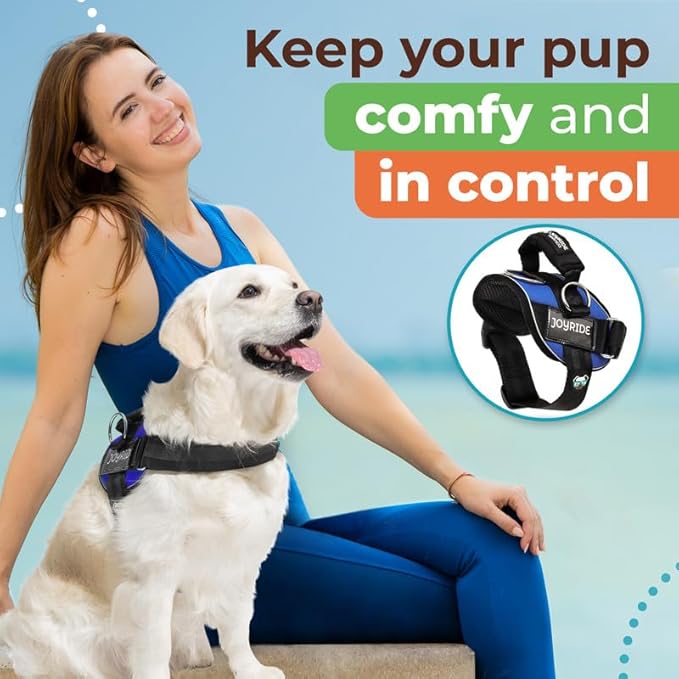 Joyride Harness 2.0 3 Leash