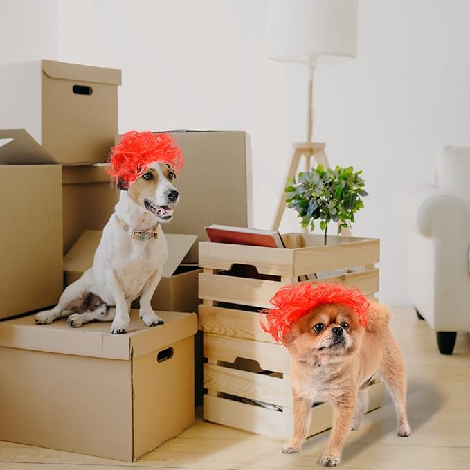Funny Dog Cat Cosplay Wig