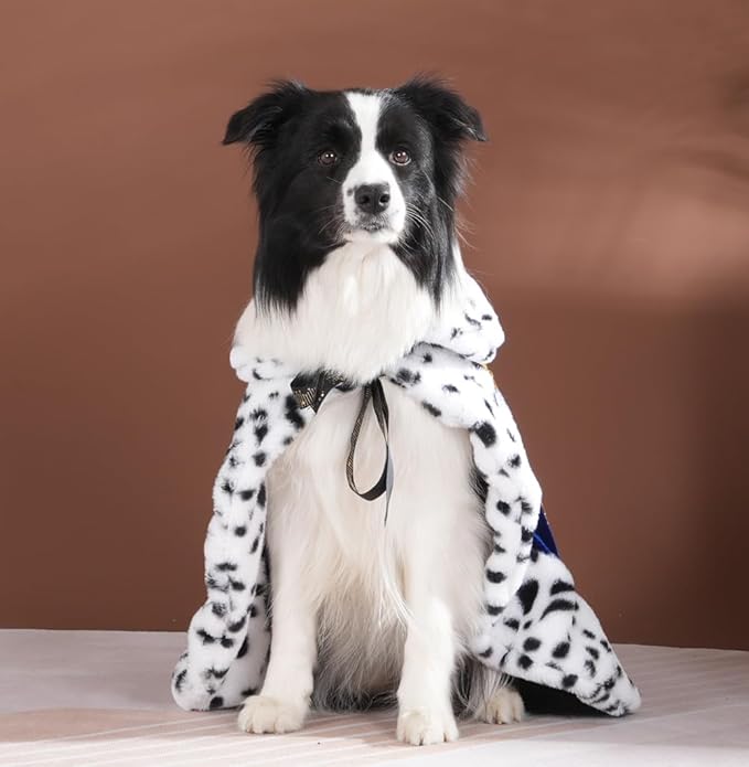 Lovelyshop pet serial Lux Fur Blue Cat Dog Cloak for Halloween costumes