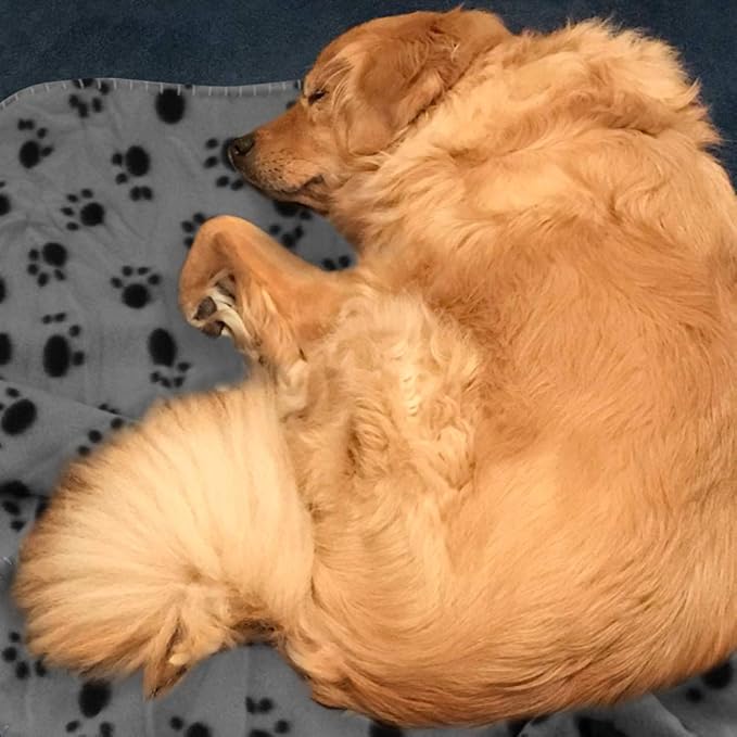 Comsmart Warm Paw Print Blanket/Bed Cover for Dogs