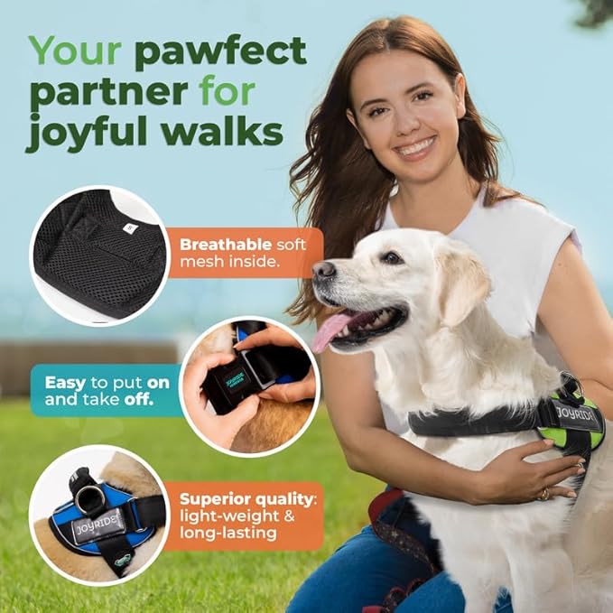Joyride Harness 2.0 3 Leash