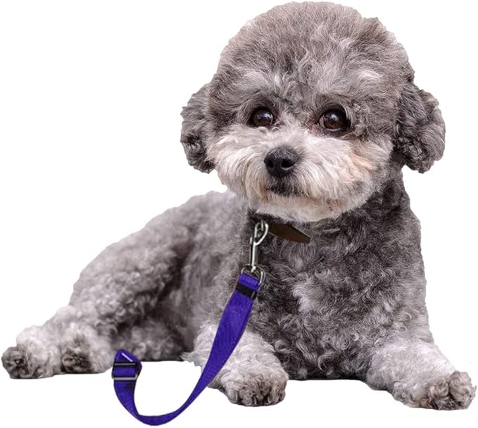 BLMHTWO Dog Seat Belt 3 Piece