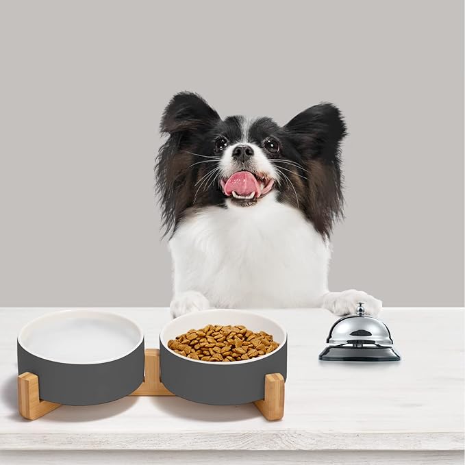 SPUNKYJUNKY Ceramic Dog and Cat Bowl Set with Wooden Stand (13.5OZ) & (28.7OZ) & (1.7 Cups, 2 ×
