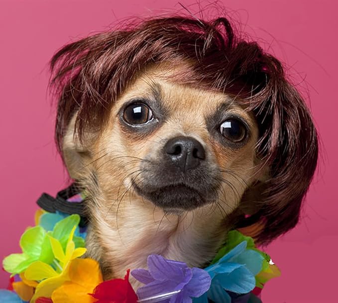 Dog Wig Pet Costumes