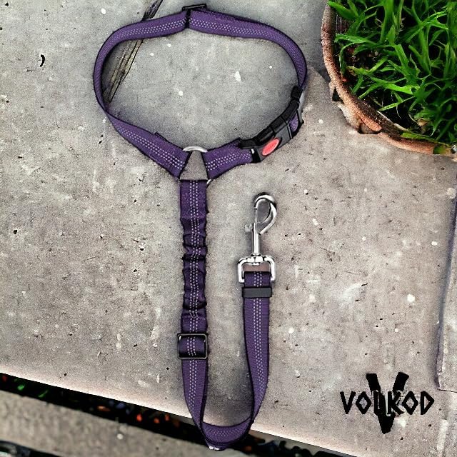 Dog Seat Belt Harness for Car 2 in 1 Pet