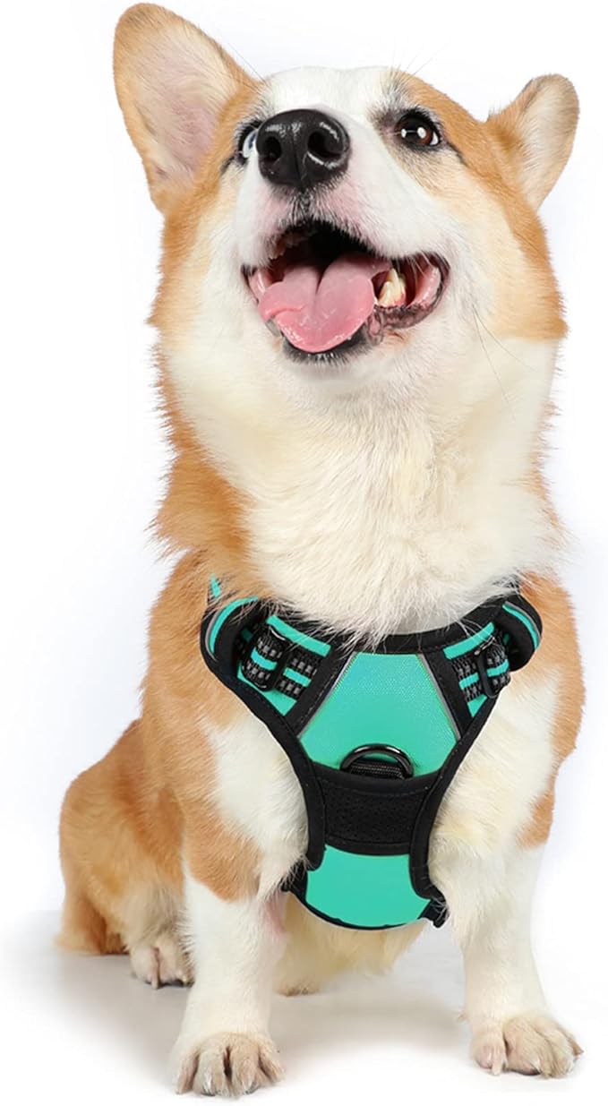 rabbitgoo Dog Harness 2 Leash
