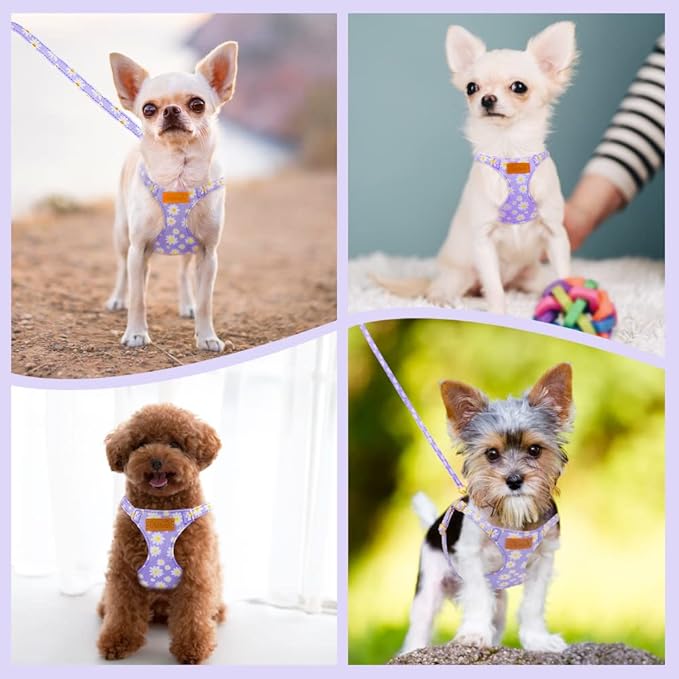 SlowTon No Pull Dog Harness with Leash