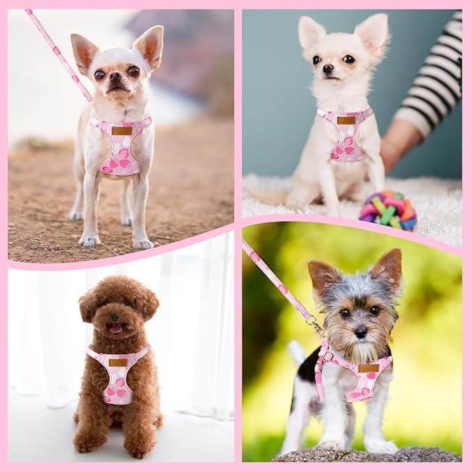 SlowTon No Pull Dog Harness with Leash