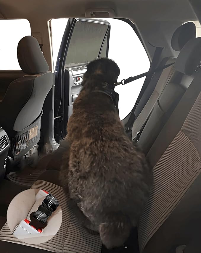 Dog Seat Belt for Car 3 In1