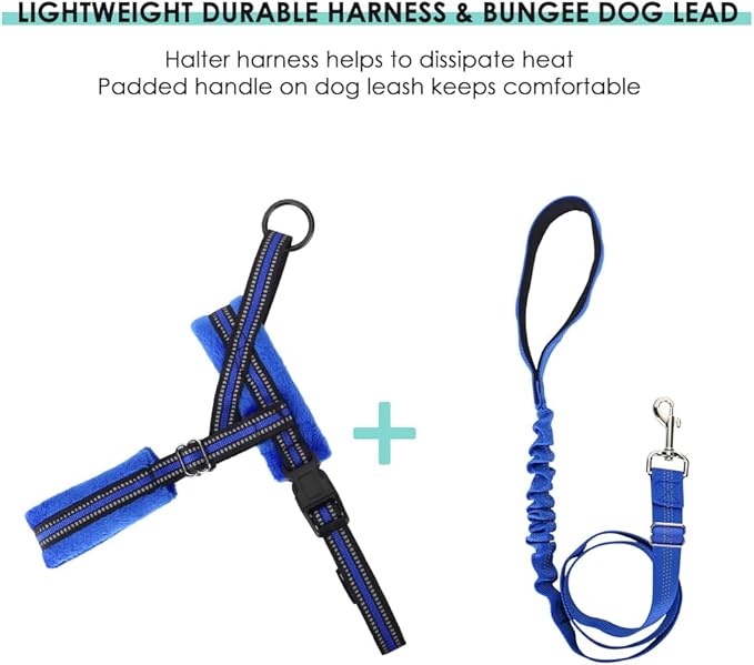 Lukovee Dog Harness and Leash Set 4ft Lightweight