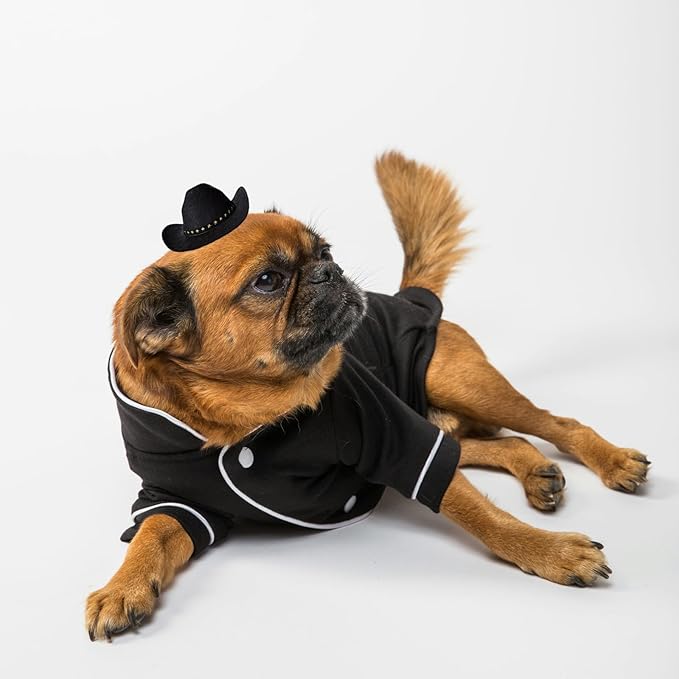 Dog Cowboy Hat Cat Cowboy Hat Mini Cowboy Hat for Dogs Cat Pet Cowboy Costume with Bandana Scarf Holiday Halloween Pet Party Decoration (black